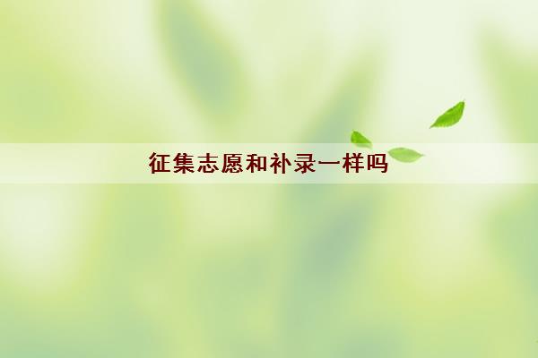 征集志愿和补录一样吗(征集志愿和补录本质区别)