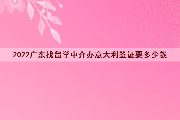 2022广东找留学中介办意大利签证要多少钱