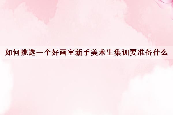 如何挑选一个好画室新手美术生集训要准备什么 如何挑选一个好画室新手美术生集训要准备什么