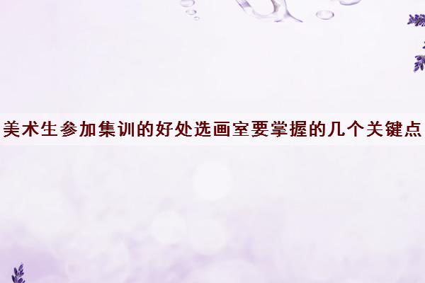 美术生参加集训的好处选画室要掌握的几个关键点