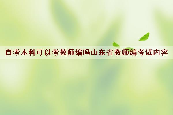 自考本科可以考教师编吗山东省教师编考试内容