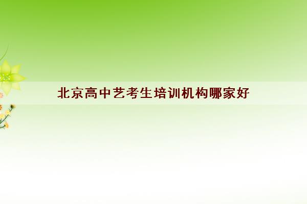 北京高中艺考生培训机构哪家好 艺考培训学校排名