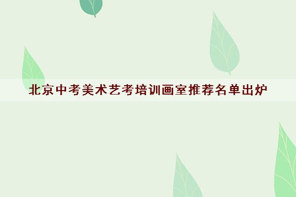 北京中考美术艺考培训画室推荐名单出炉