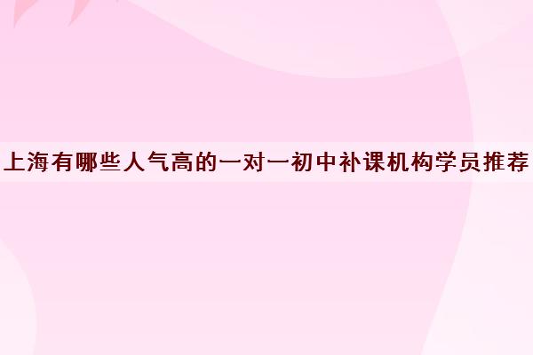 上海有哪些人气高的一对一初中补课机构学员推荐名单