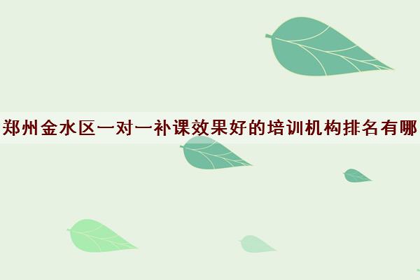 郑州金水区一对一补课效果好的培训机构排名有哪些