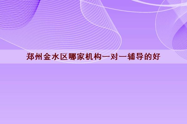 郑州金水区哪家机构一对一辅导的好 机构优势是什么