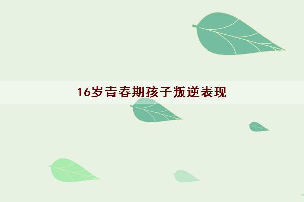 16岁青春期孩子叛逆表现 叛逆行为的特征划分