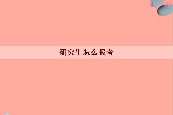 研究生怎么报考 2023研究生报考流程具体步骤