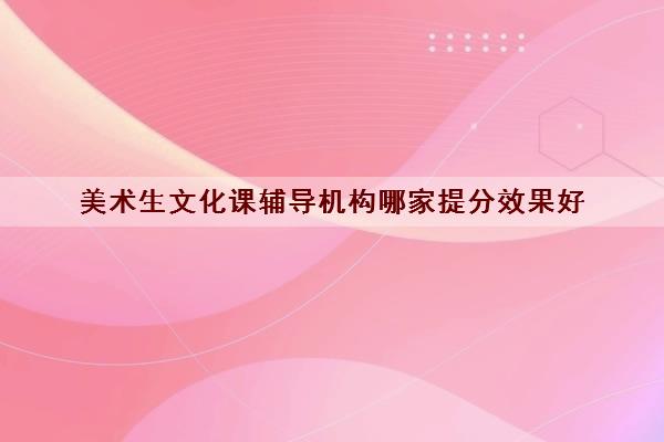 美术生文化课辅导机构哪家提分效果好