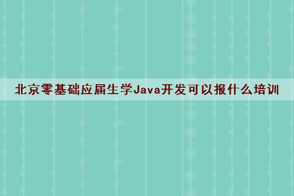 北京零基础应届生学Java开发可以报什么培训机构