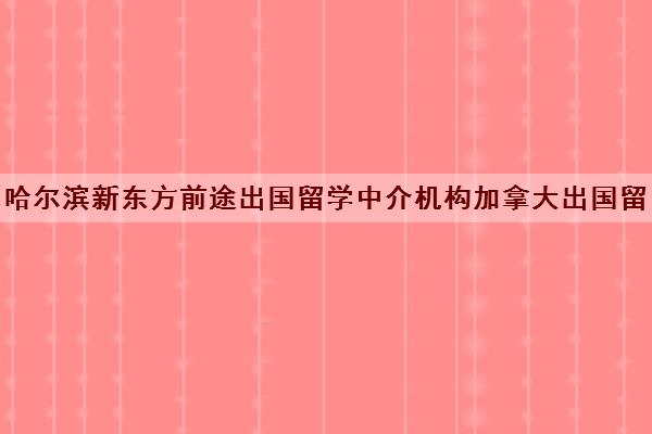 哈尔滨新东方前途出国留学中介机构加拿大出国留学全部顾问老师简介