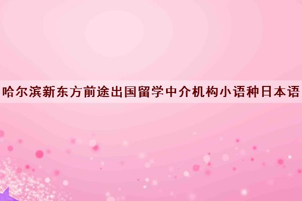 哈尔滨新东方前途出国留学中介机构小语种日本语言老师简介