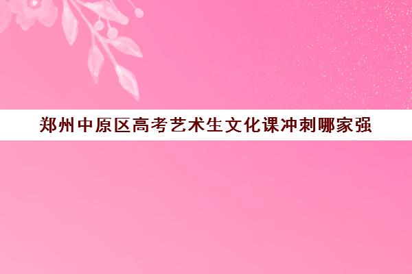 郑州中原区高考艺术生文化课冲刺哪家强