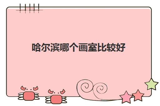 哈尔滨哪个画室比较好 哈尔滨美苑艺考集训机构怎么样