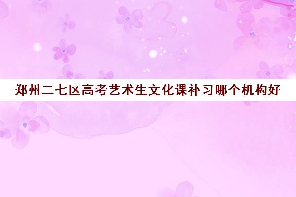 郑州二七区高考艺术生文化课补习哪个机构好