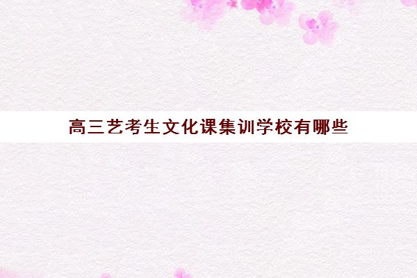 高三艺考生文化课集训学校有哪些 高三艺考生文化课集训十大排名