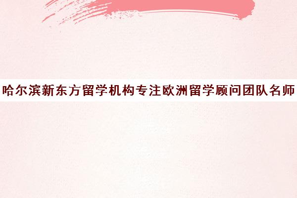 哈尔滨新东方留学机构专注欧洲留学顾问团队名师推荐