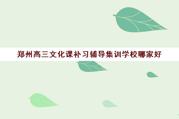 郑州高三文化课补习辅导集训学校哪家好 怎么选择