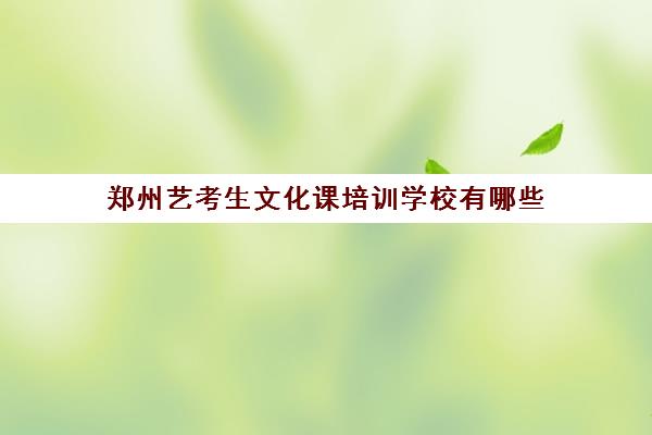 郑州艺考生文化课培训学校有哪些 效果如何