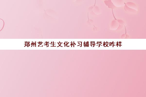 郑州艺考生文化补习辅导学校咋样 哪家好