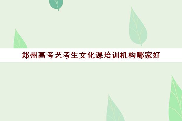 郑州高考艺考生文化课培训机构哪家好