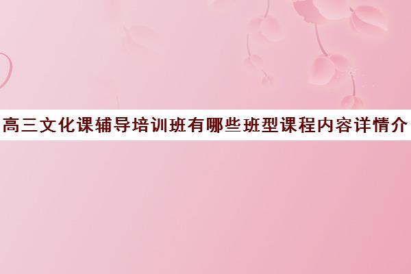 高三文化课辅导培训班有哪些班型课程内容详情介绍