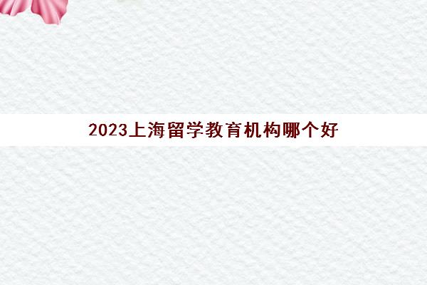 2023上海留学教育机构哪个好 留学服务质量排名选这家