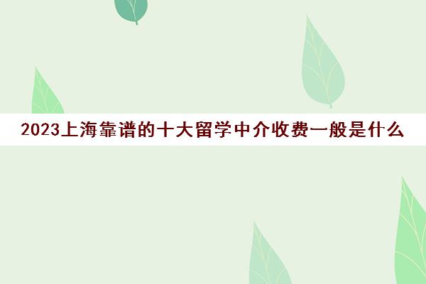 2023上海靠谱的十大留学中介收费一般是什么标准