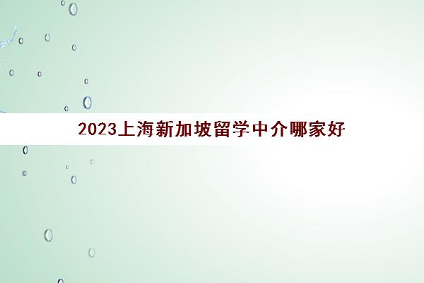 2023上海新加坡留学中介哪家好 十大留学品牌推荐 2023上海新加坡留学中介哪家好 十大留学品牌推荐