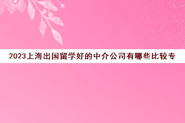 2023上海出国留学好的中介公司有哪些比较专业