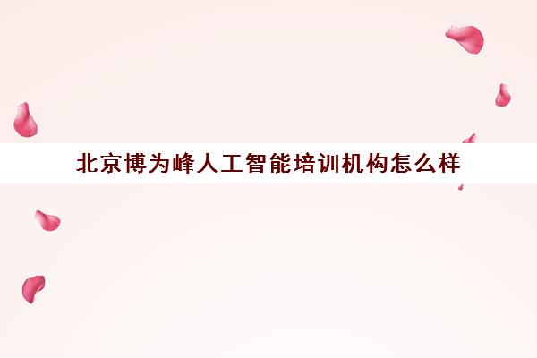 北京博为峰人工智能培训机构怎么样