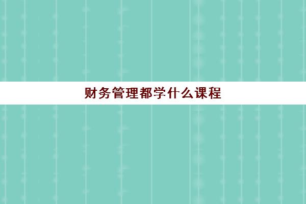 财务管理都学什么课程 财务管理对数学很差的能学吗