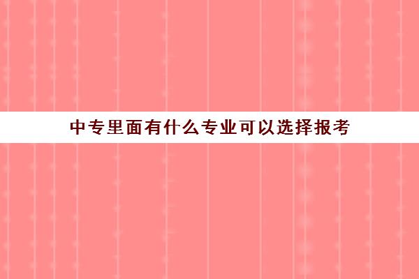 中专里面有什么专业可以选择报考