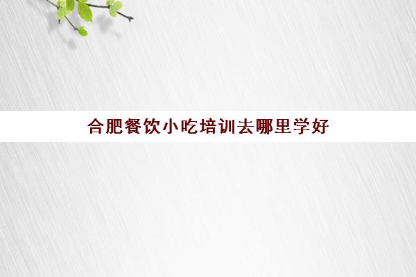 合肥餐饮小吃培训去哪里学好 餐饮小吃机构实力强在哪