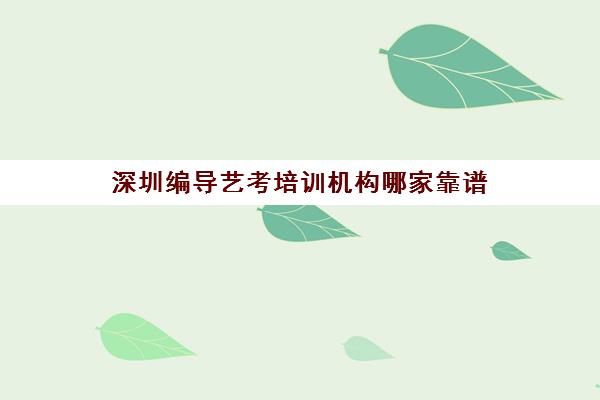 深圳编导艺考培训机构哪家靠谱 编导培训机构强在哪