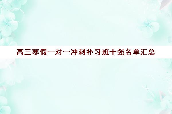 高三寒假一对一冲刺补习班十强名单汇总