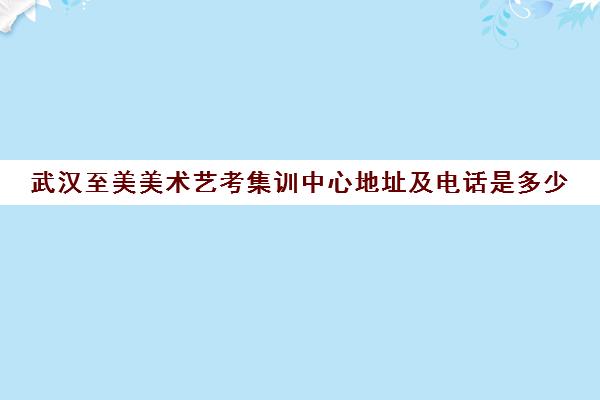 武汉至美美术艺考集训中心地址及电话是多少