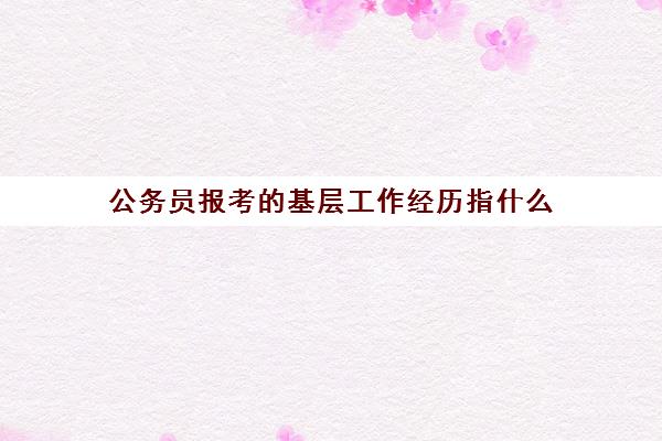 公务员报考的基层工作经历指什么 包括私企吗