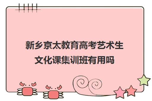 新乡京太教育高考艺术生文化课集训班有用吗