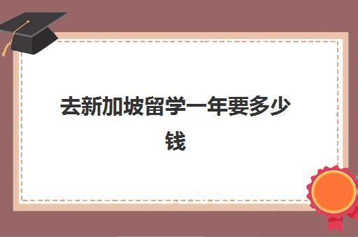 去新加坡留学一年要多少钱 一年30万够不够