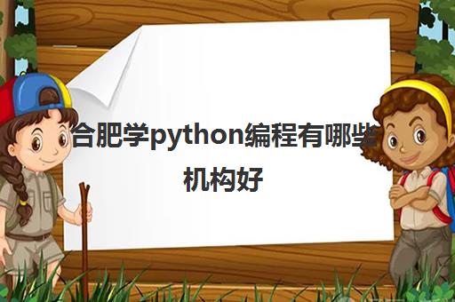 合肥学python编程有哪些机构好 有哪几家机构值得推荐