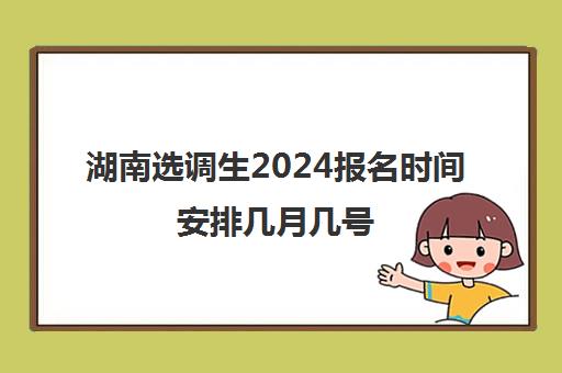 湖南选调生2024报名时间安排几月几号