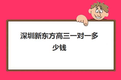 深圳新东方高三一对一多少钱 一小时几百块贵吗